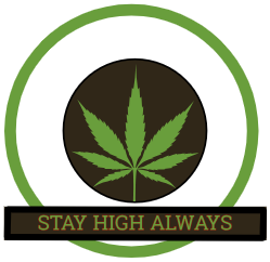 Stay High Always